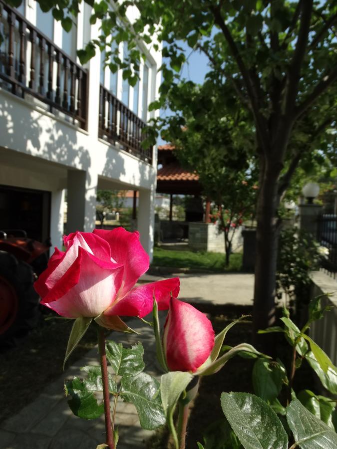 Christakos Apartments Βρασνά Εξωτερικό φωτογραφία